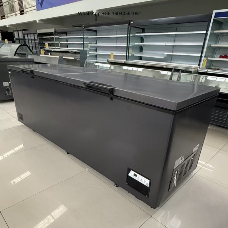 Commercial Chest Freezer - Commerciële dubbele deur horizontale diepvrieskist met