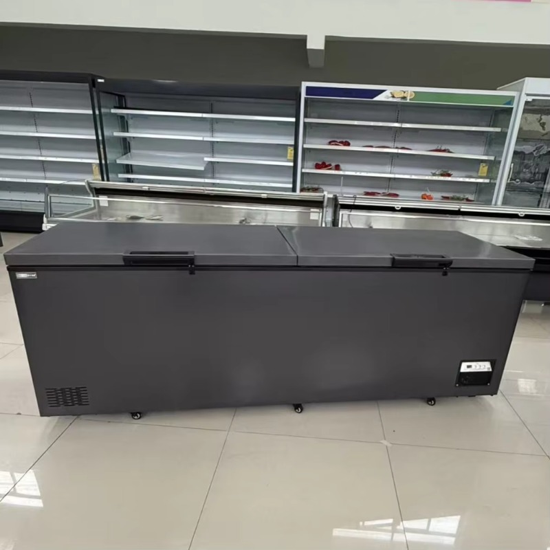 Commerciële dubbele deur horiz - Commercial Chest Freezer recensie en prijs