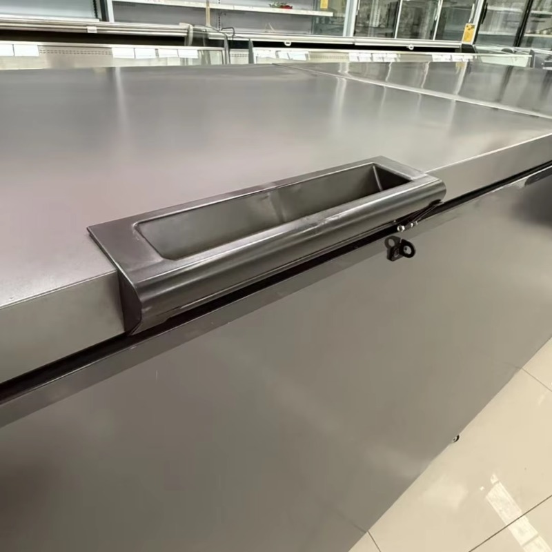 Commerciële dubbele deur horiz - Commercial Chest Freezer recensie en prijs