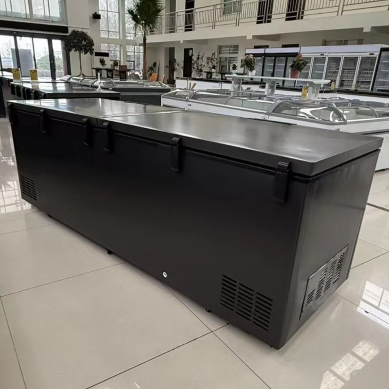 Commerciële dubbele deur horiz - Commercial Chest Freezer recensie en prijs